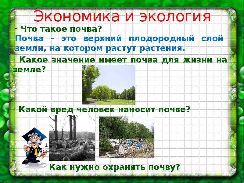 Загрязнение окружающей среды — виды, источники, последствия и охрана — природа мира