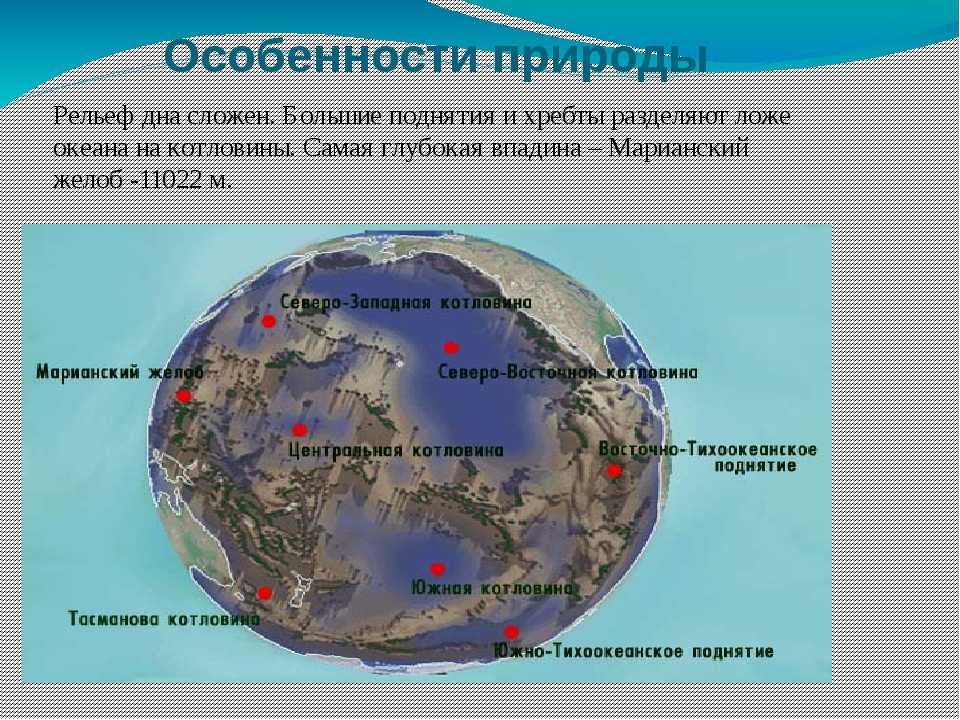 Конспект "тихий океан" - учительpro