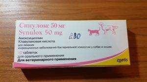 Антибиотики для собак – уколы широкого спектра и специального действия
