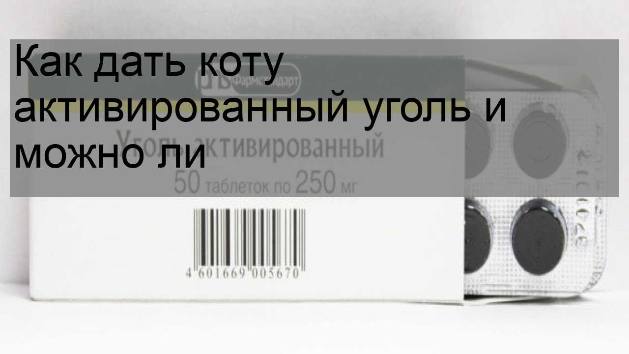 Сорбент при отравлении для животных. можно ли давать собаке активированный уголь?