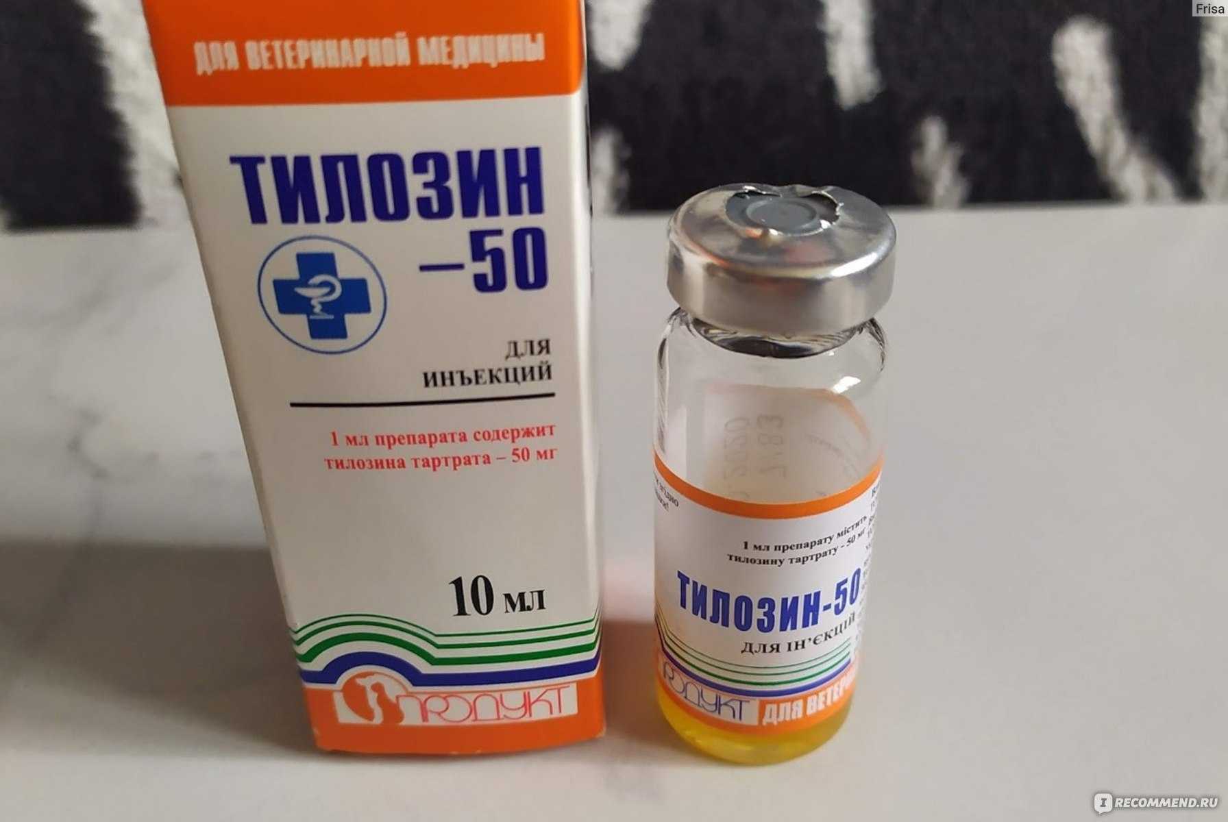 Какие антибиотики можно давать кошкам, список препаратов, дозировка