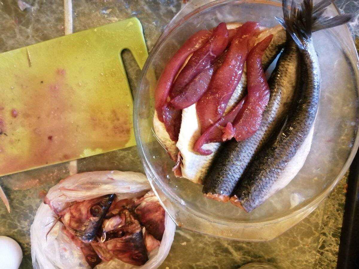 Можно ли рыбу собакам - какую рыбу можно, как приготовить