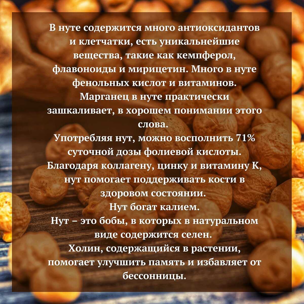 Гриб баран (баранья голова): описание, полезные свойства и рецепты приготовления