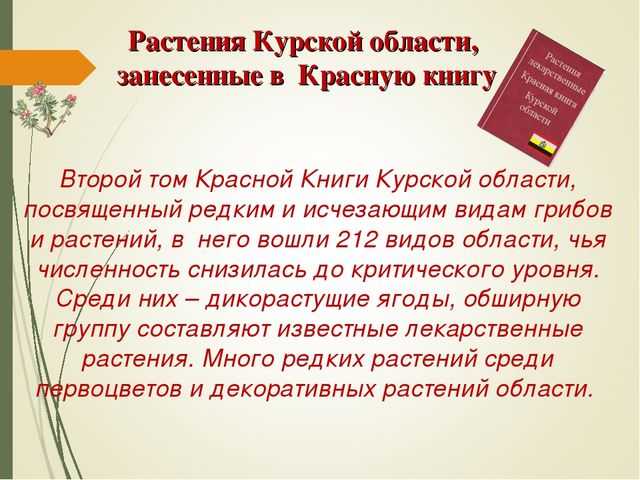 Какие животные обитают в курской области