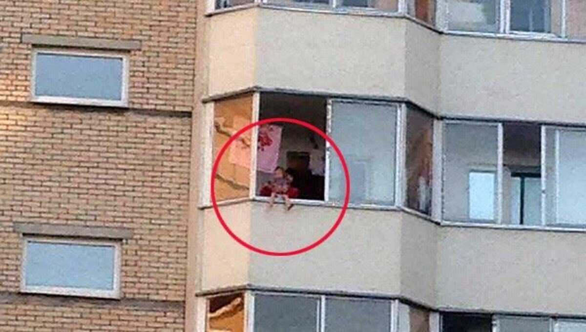 Кошка убежала из дома как найти, как вернуть кота?