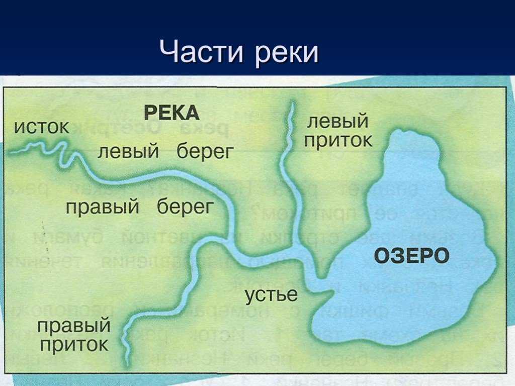 Виды плавательных бассейнов