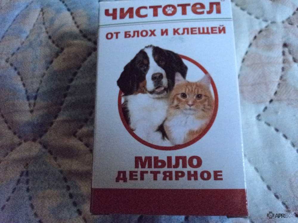 Дегтярное мыло поможет избавиться от блох у собаки