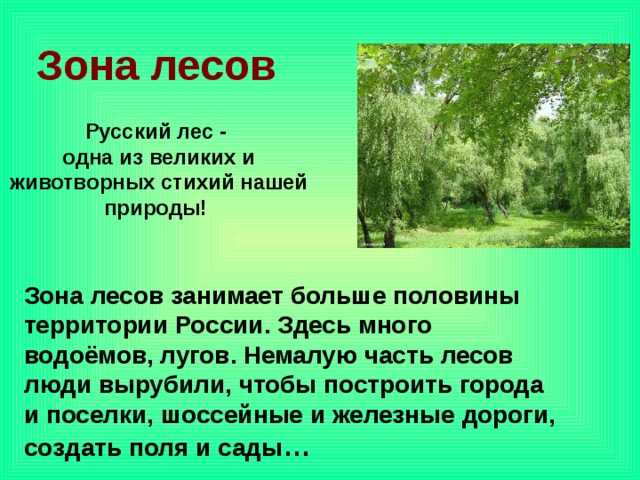 Природные зоны россии - карта, таблица характеристик и описание