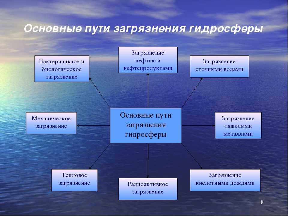 Загрязнение мирового океана как глобальная экологическая проблема, защита вод от мусорных островов