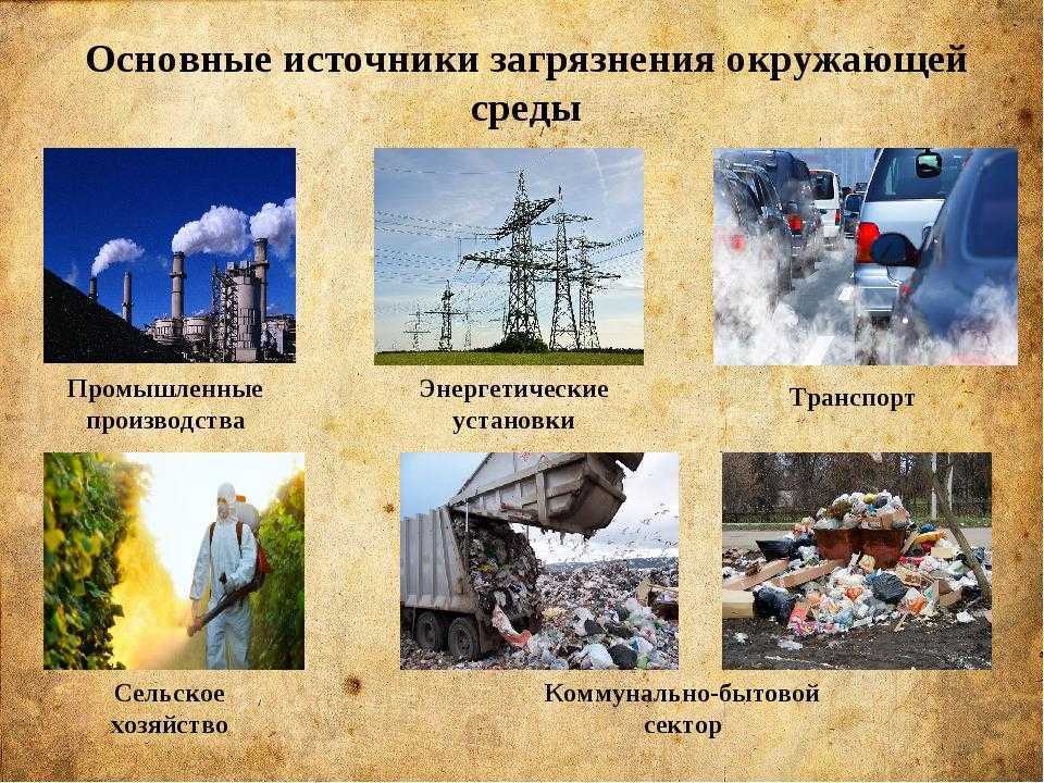 Последствия радиоактивного загрязнения для окружающей среды