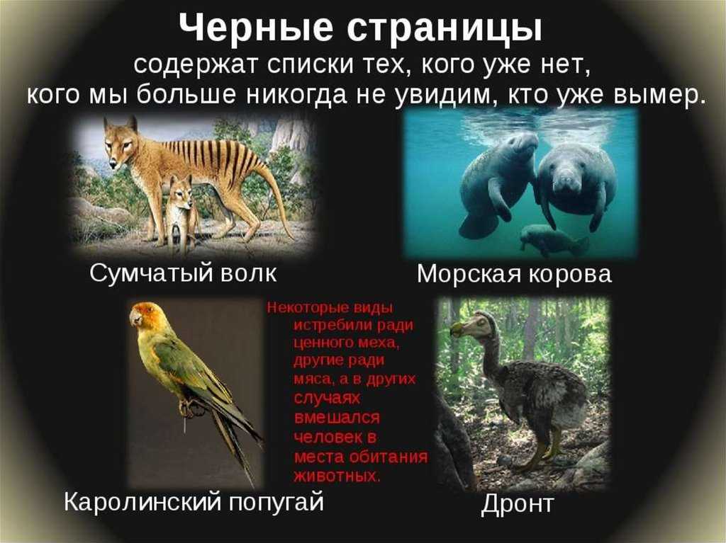Красная книга республики коми
