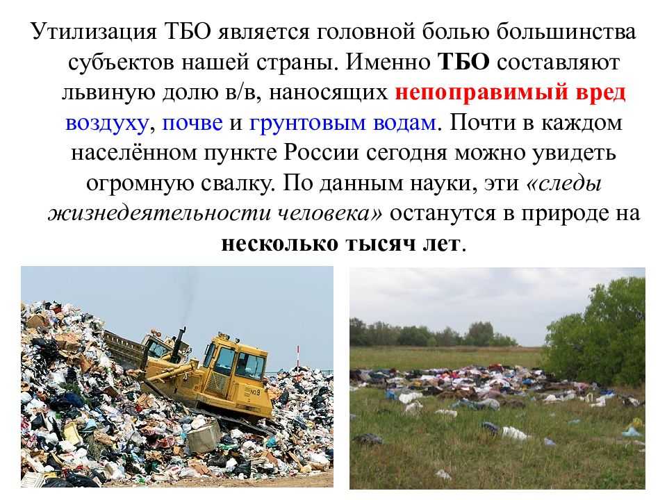 Утилизация отходов и мусора: проблема современного мира