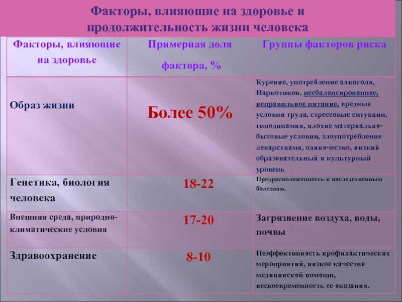 Сколько живут той-терьеры? | ls