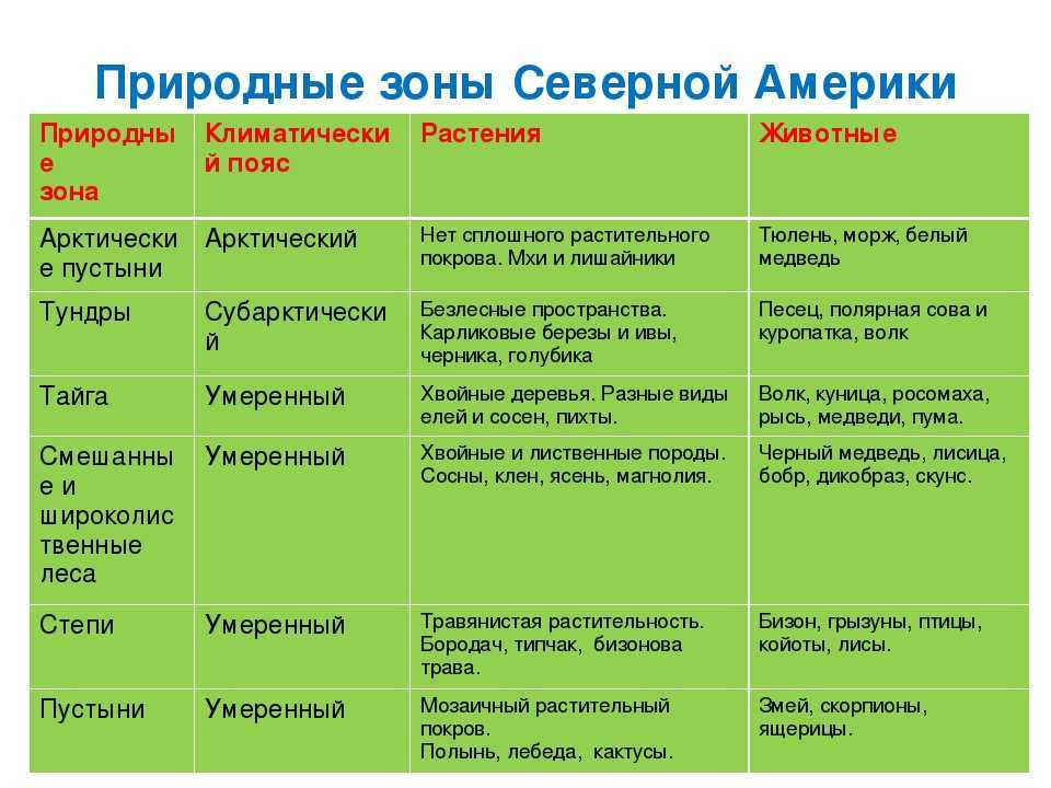 Виды природных зон россии с названиями и описанием