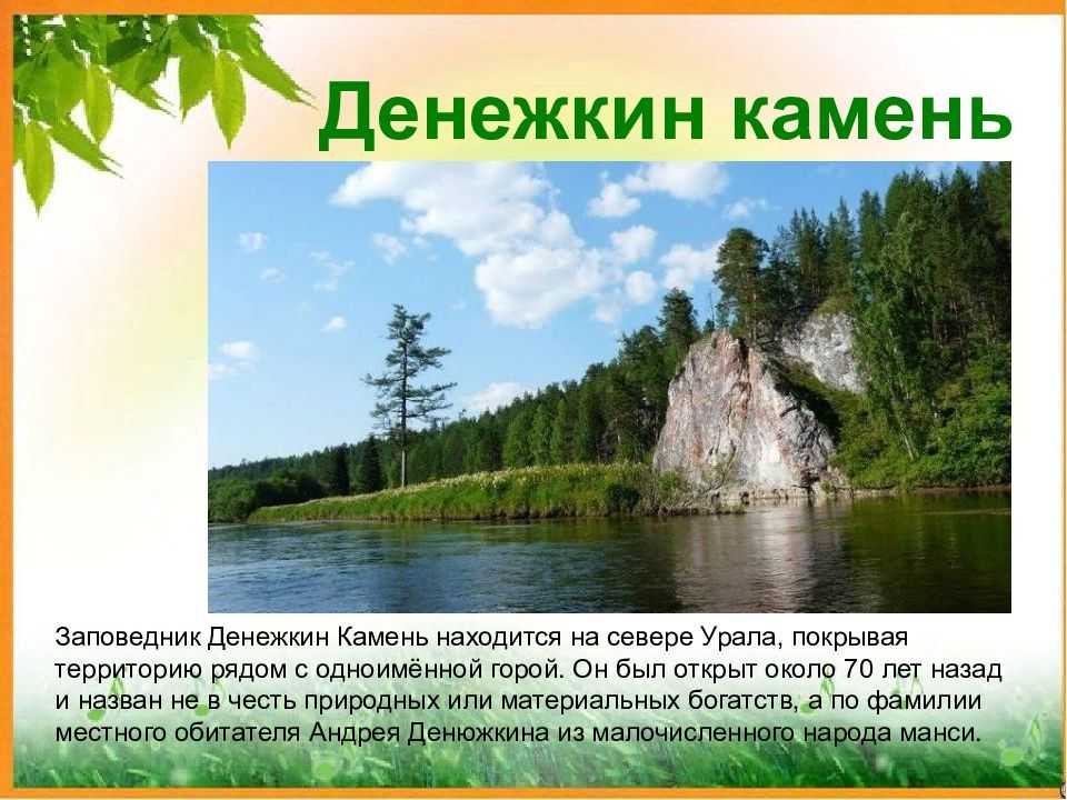 Животный мир приморского края. ресурсы и промысел копытных животных на дальнем востоке звери и птицы приморского края