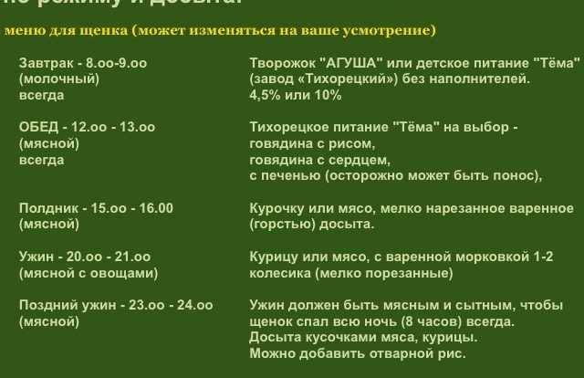 Щенки таксы: описание и характер, уход, содержание, правила кормления и профилактика болезней.