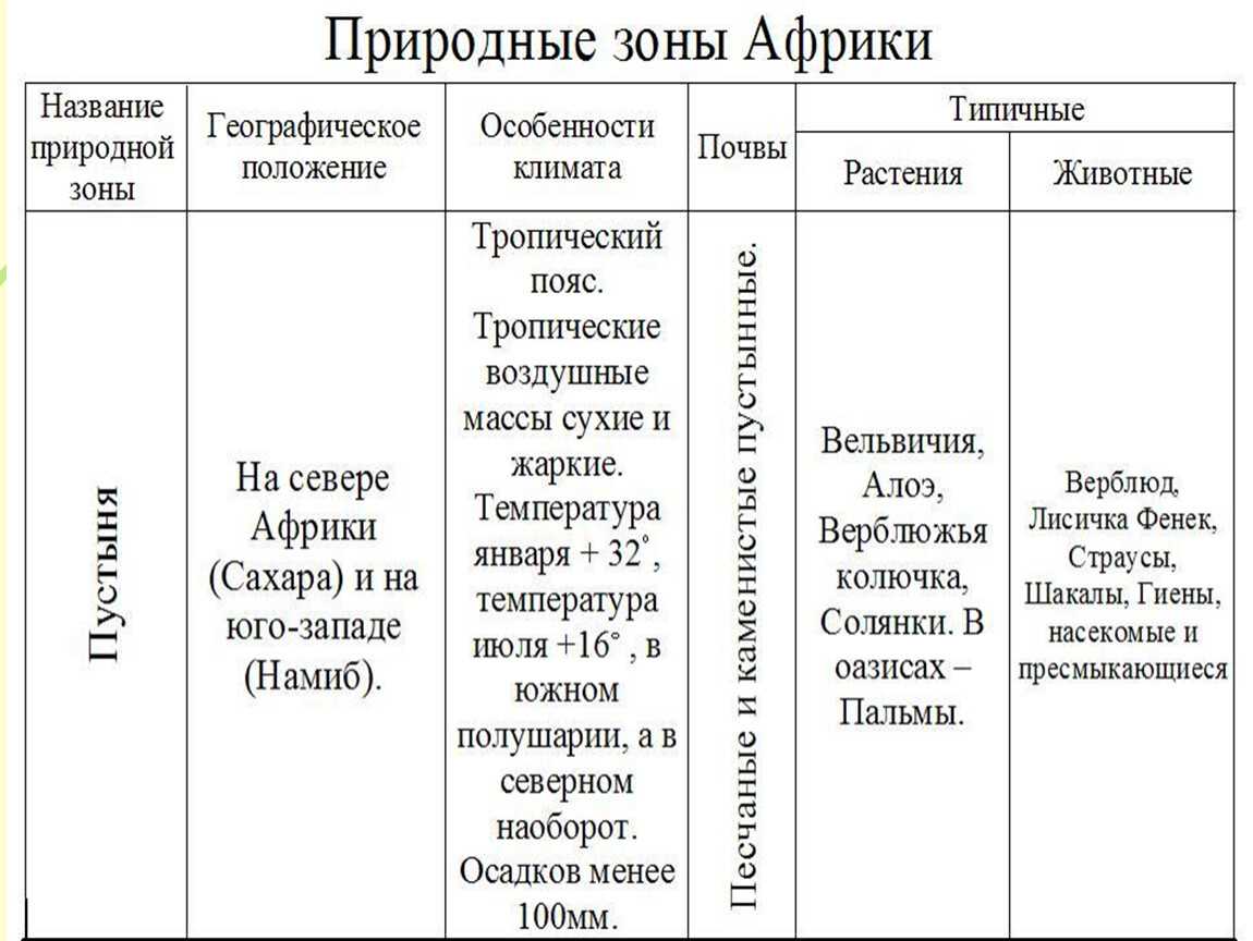 Климатические условия экваториальных лесов
