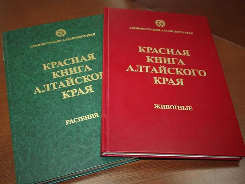 Редкие животные и растения, включенные в красную книгу алтайского края. красная книга алтайского края