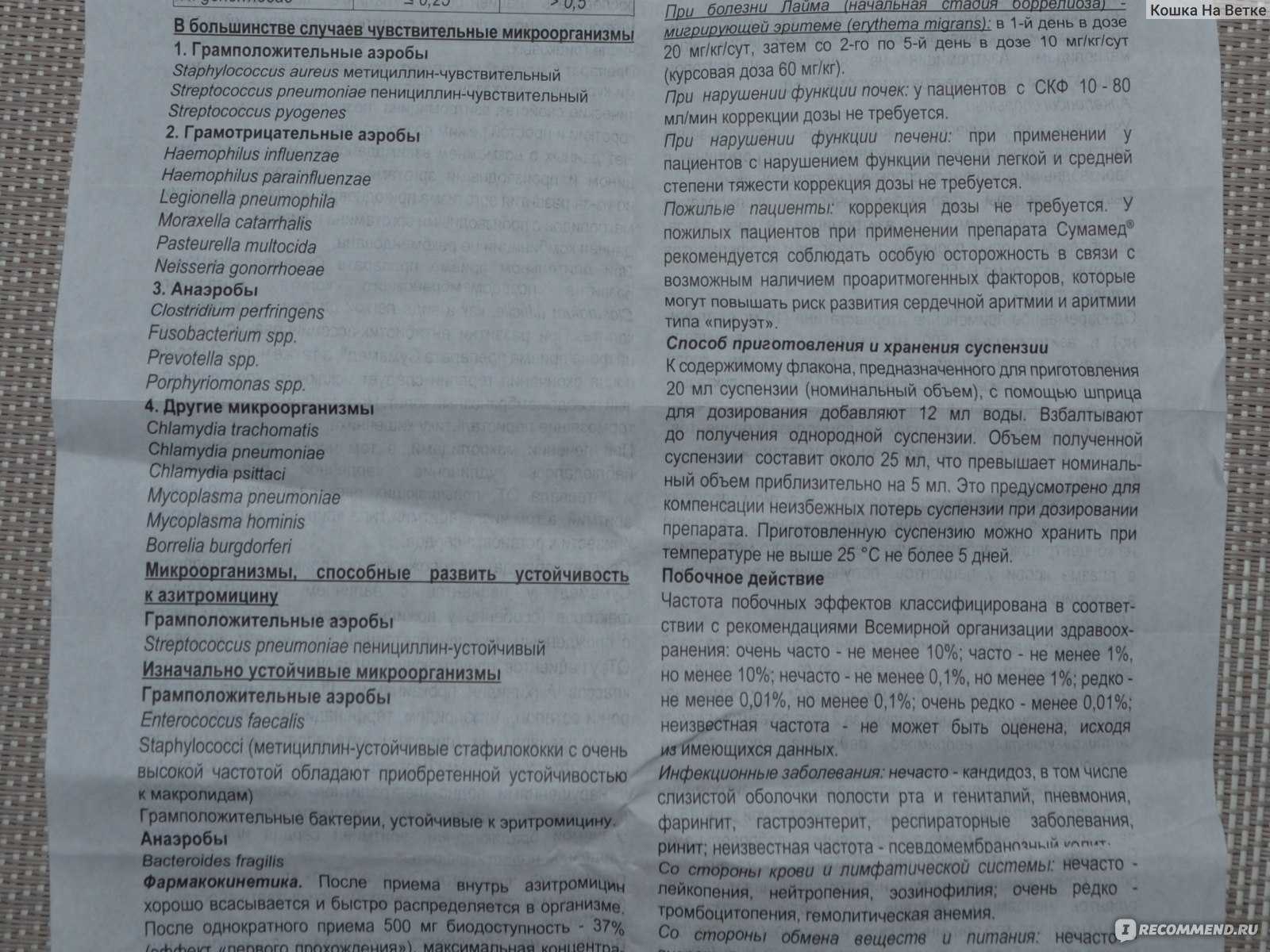 Какие антибиотики можно давать собакам?