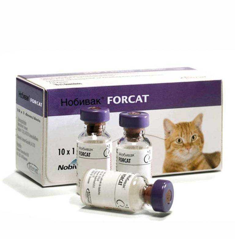 Описание вакцины nobivac tricat trio