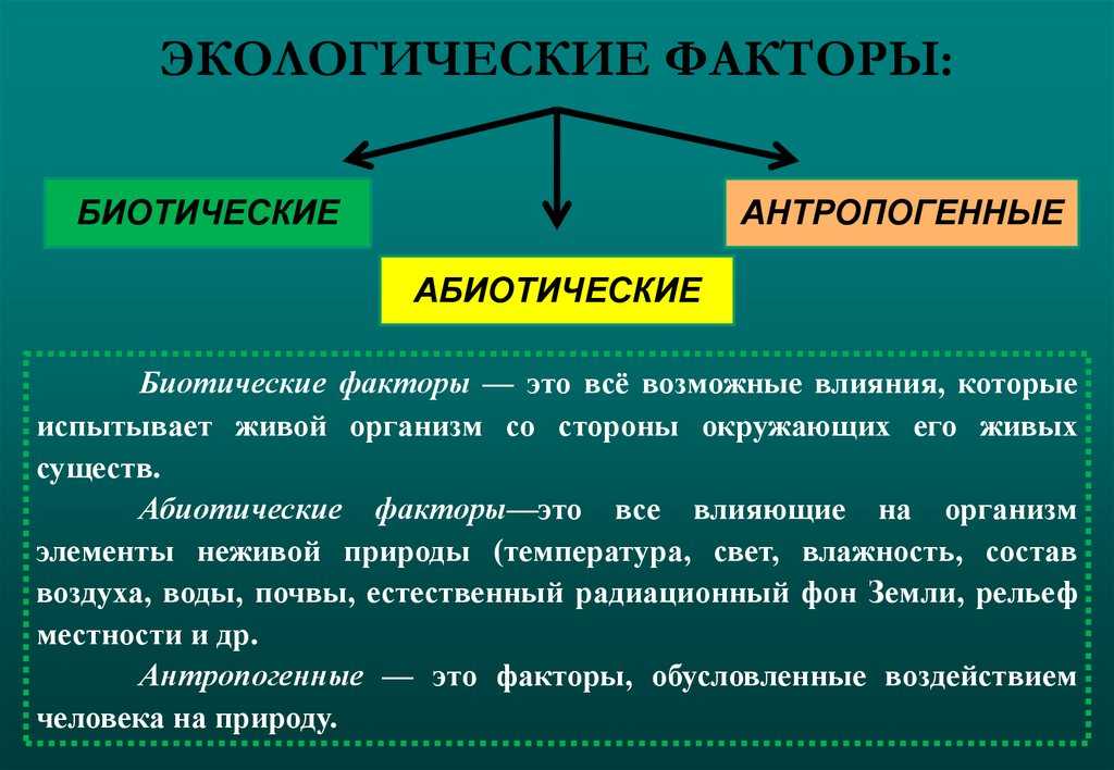 Экологические факторы: биотические, абиотические, антропогенные