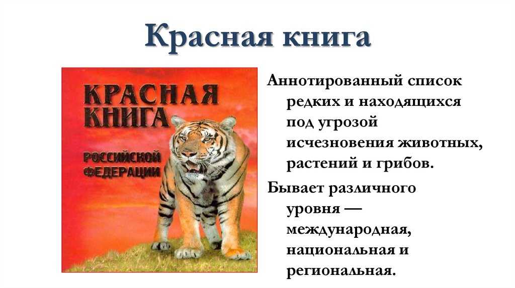 Краткосрочный исследовательский проект по патриотическому воспитанию «красная книга хабаровского края». воспитателям детских садов, школьным учителям и педагогам - маам.ру