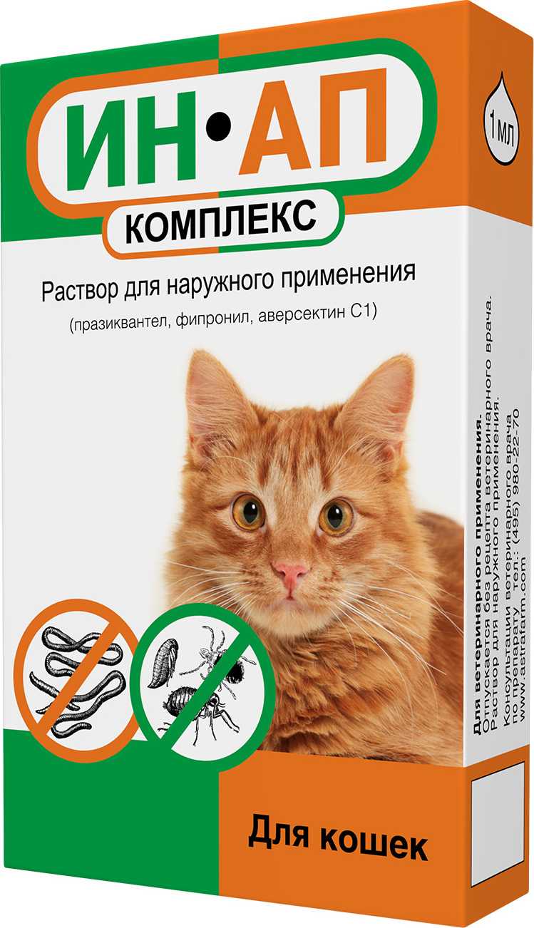 Капли на холку от глистов у кошек: популярные и эффективные препараты | ваши питомцы