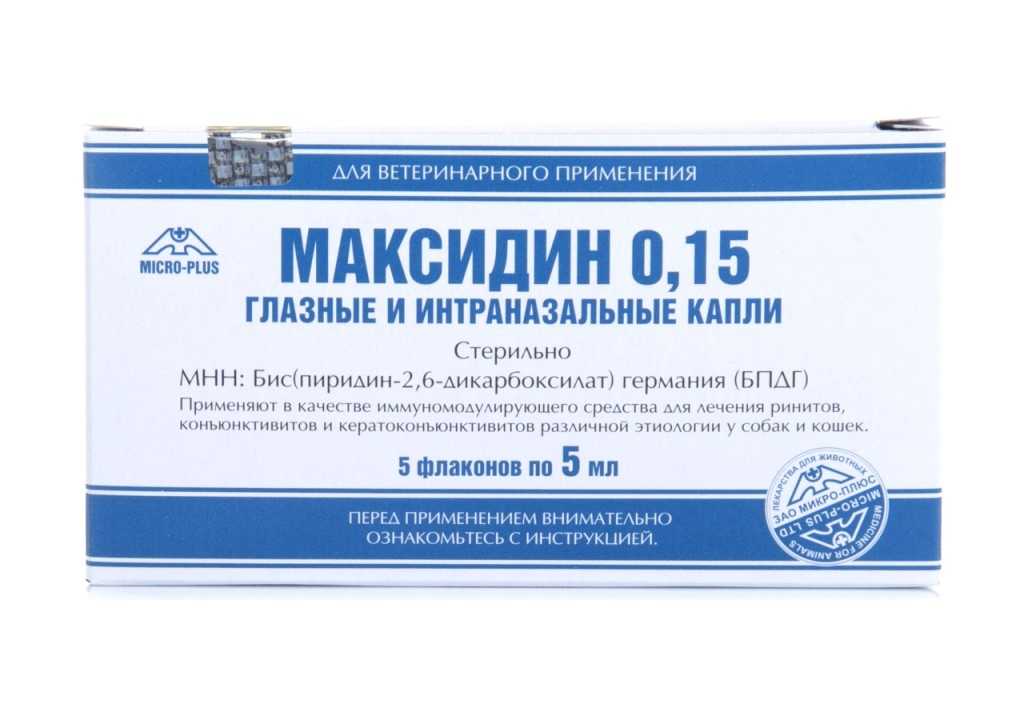 Ветеринарный препарат максидин для собак и кошек: инструкция по применению