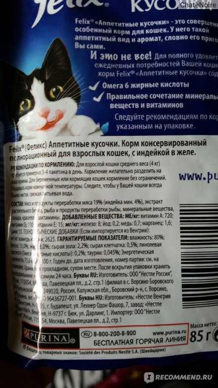 Лучшие влажные корма для кошек