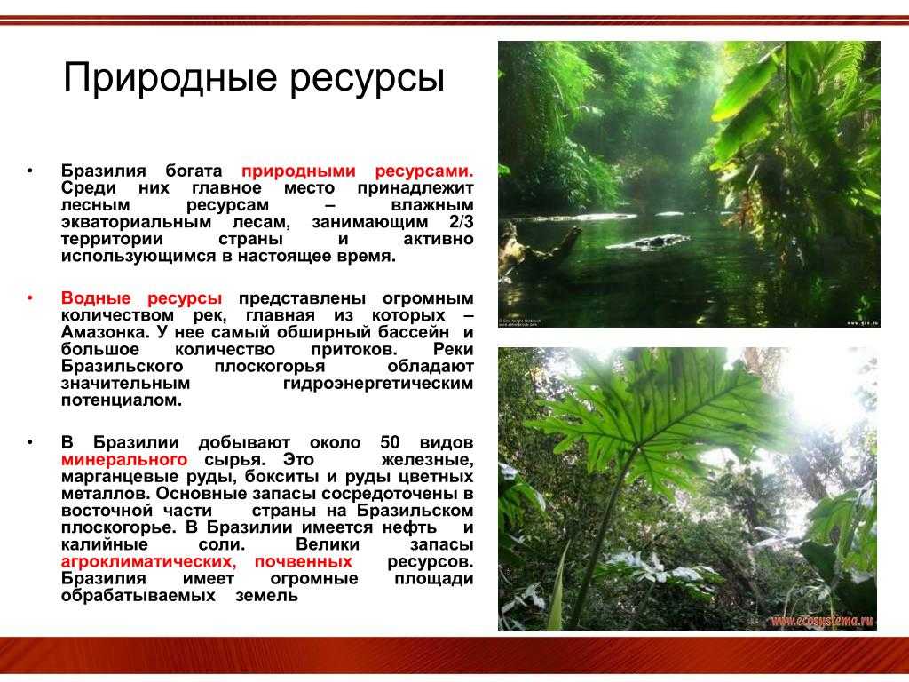 Природные  ресурсы бразилии: основные виды, общая характеристика