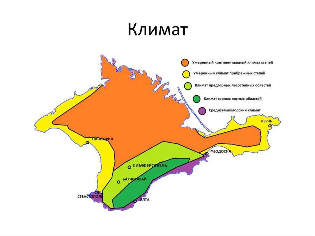 Особенности природы крыма – описание климата и крымской природы кратко (4 класс, окружающий мир)