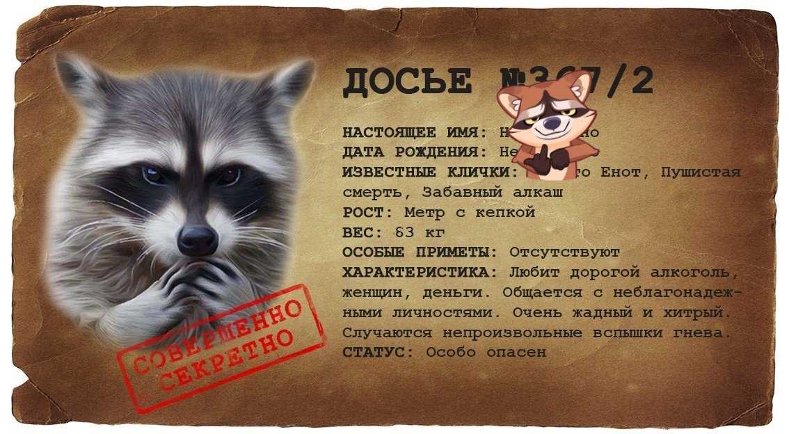 Как назвать енота? - ростки жизни