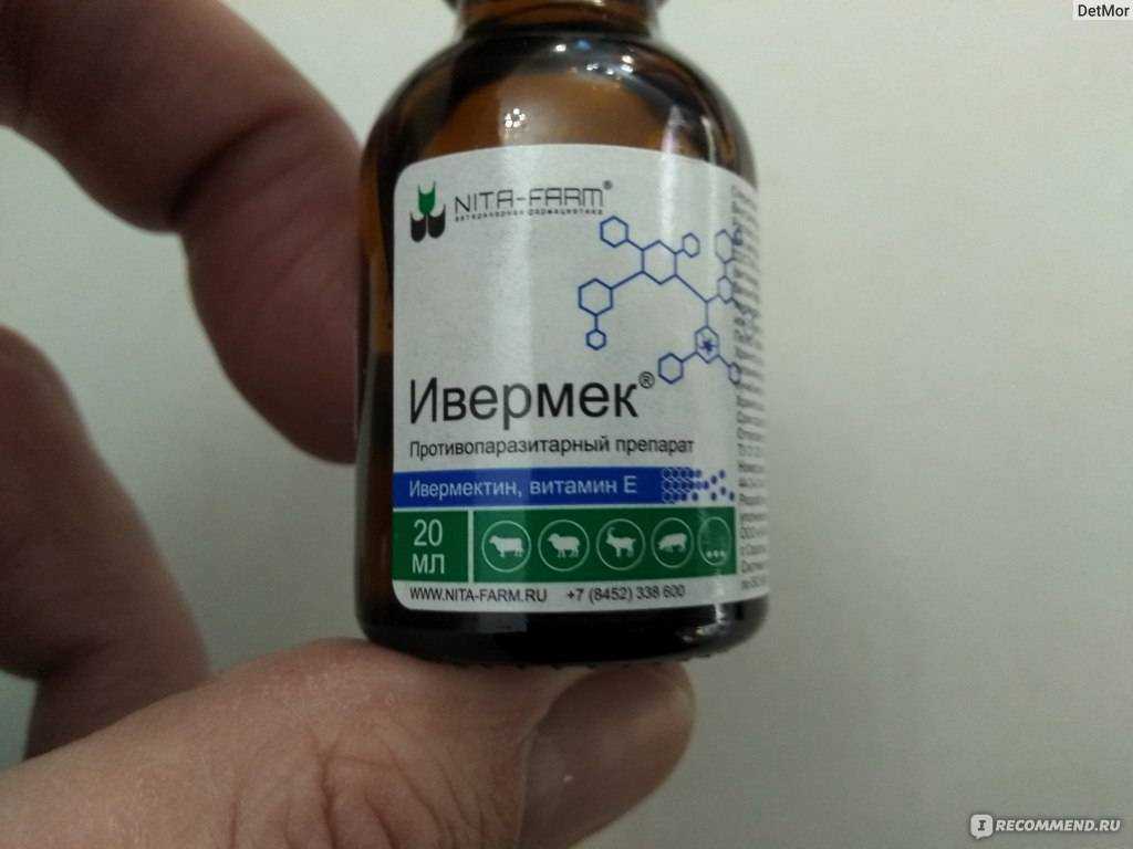 Отодектин для собак – надежное средство от паразитов