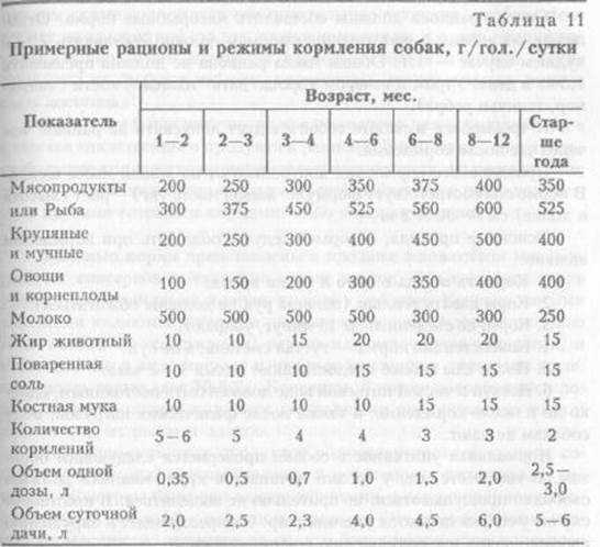 Можно ли давать щенкам молоко, творог, йогурт или сметану? сколько молока можно дать щенку в разном возрасте