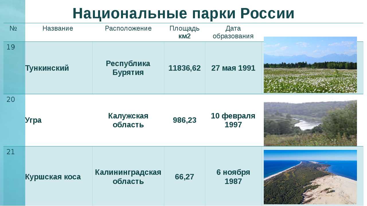 Наш экологический портал предлагает ознакомиться с популярными заповедниками в смешанных лесах России Европейские и американские заповедники