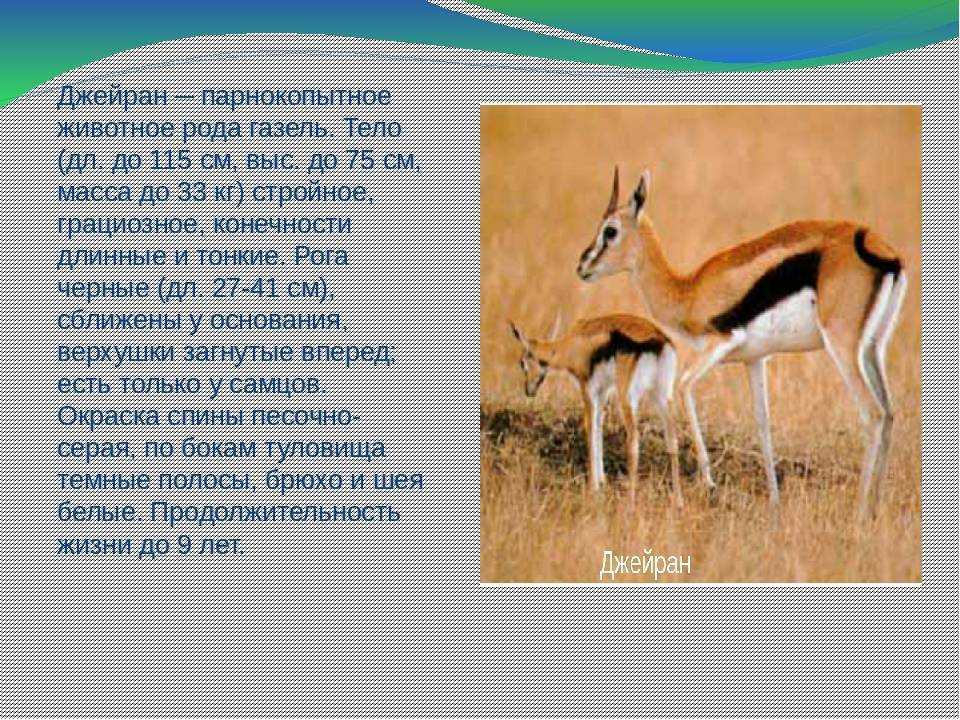 Красная книга казахстана: редкие и вымирающие животные