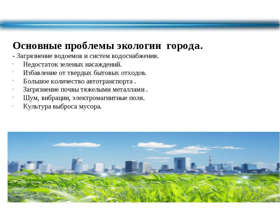 Эко-зеленский. как власти используют проблемы экологии для своей выгоды