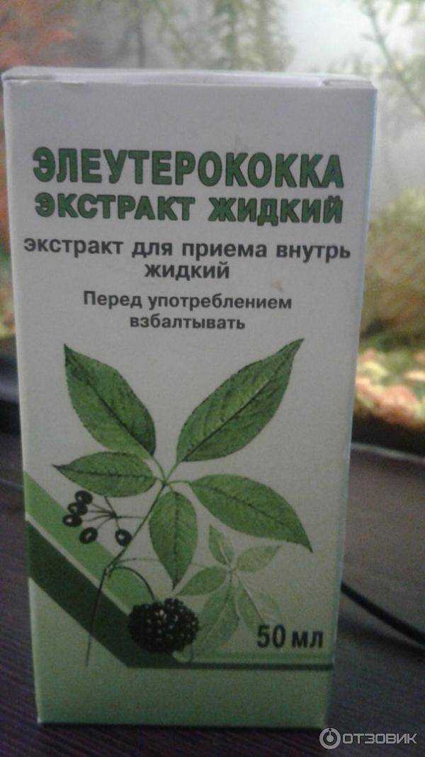 Элеутерококк: посадка и уход в открытом грунте, лечебные свойства и противопоказания