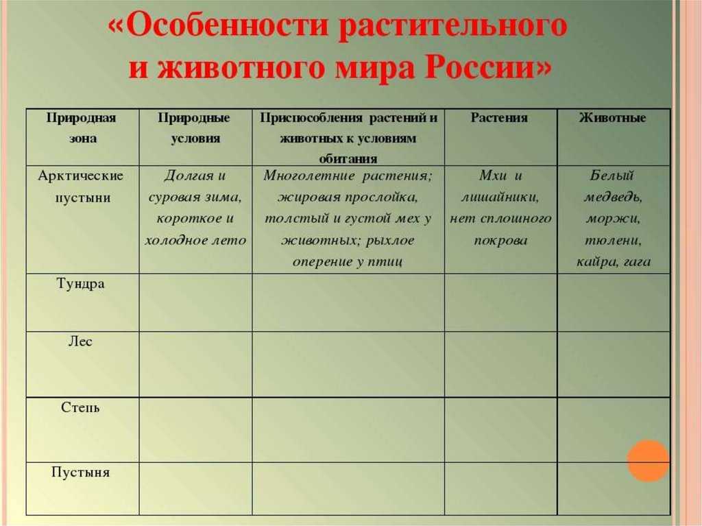 Климатические пояса и области земли.