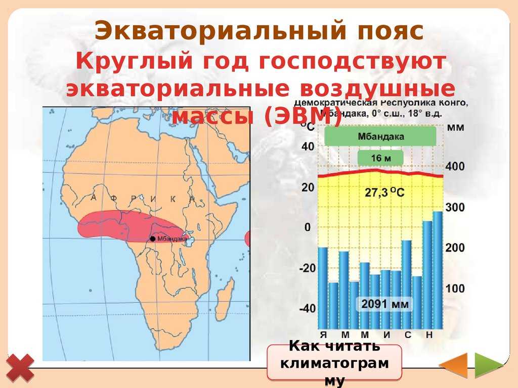 Тропики и субтропики в россии