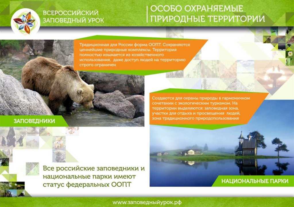 Биологические ресурсы россии и их охрана