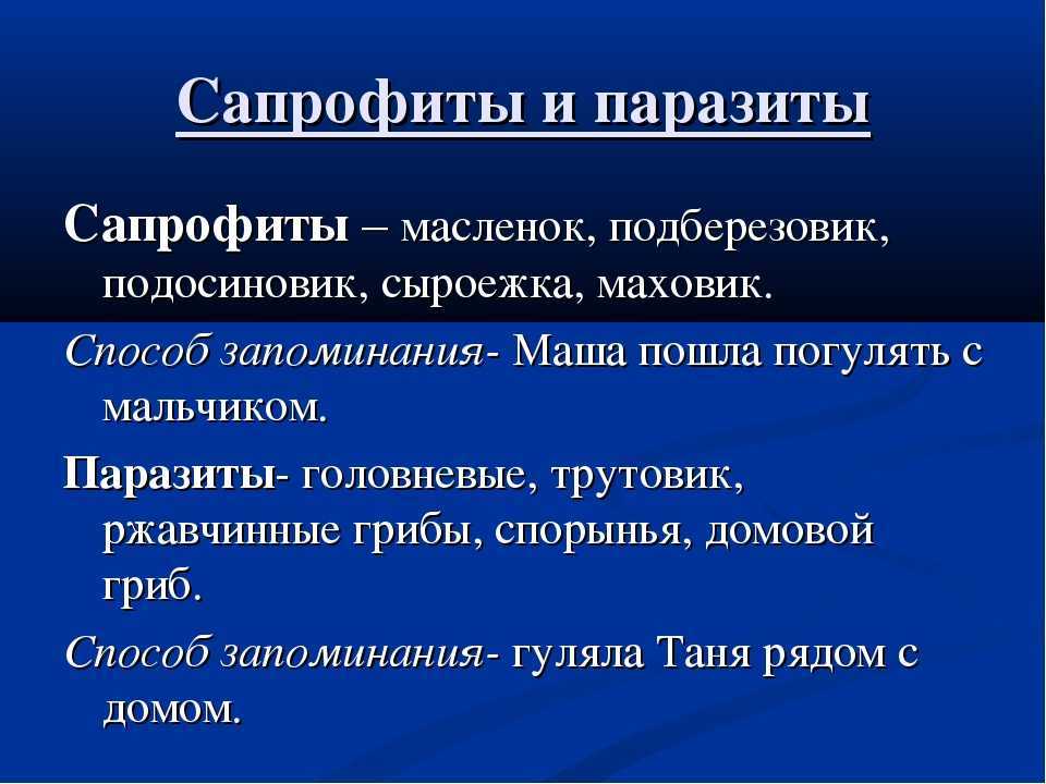 Грибы с сапрофитным способом питанием