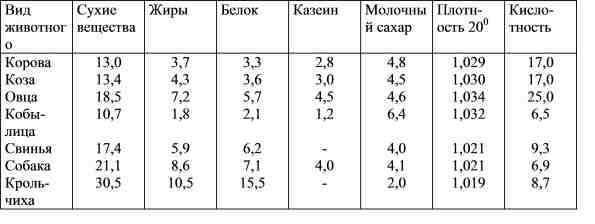 Кормление новорожденных котят – все нюансы сложного процесса