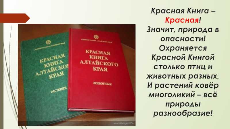 Разнообразие животного мира алтайского края: какие животные обитают в регионе