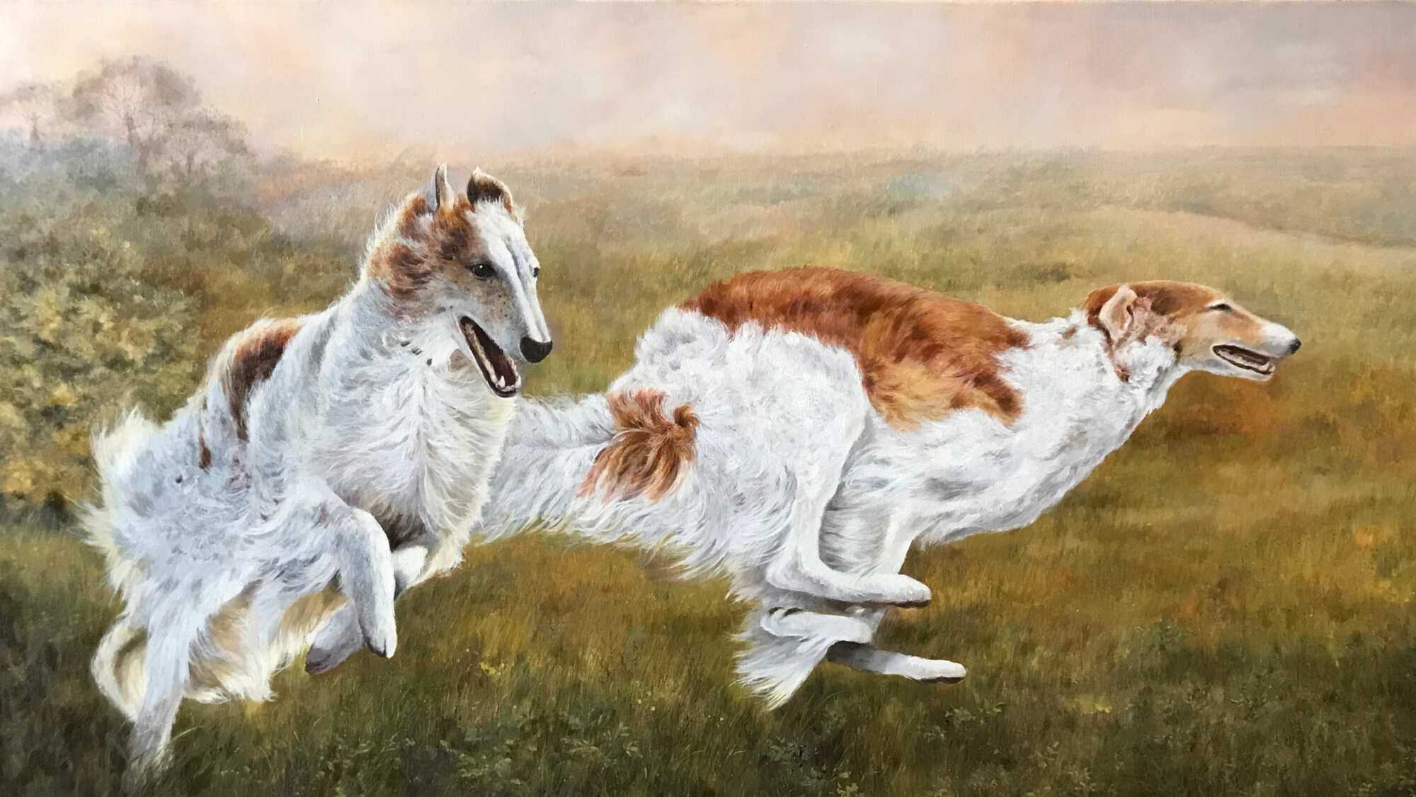 Охотничьи собаки