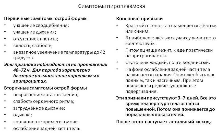 Неозидин: инструкция по применению препарата  (neosidini) для собак, лошадей, крс, овец и др. животных