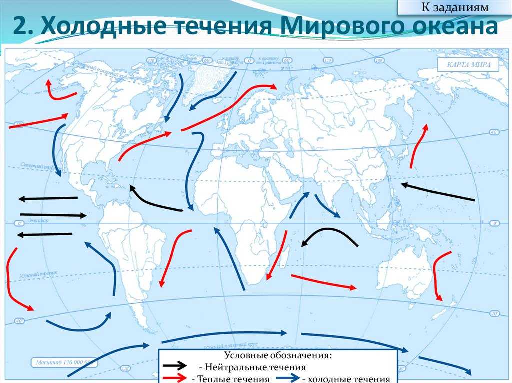 Индийский океан