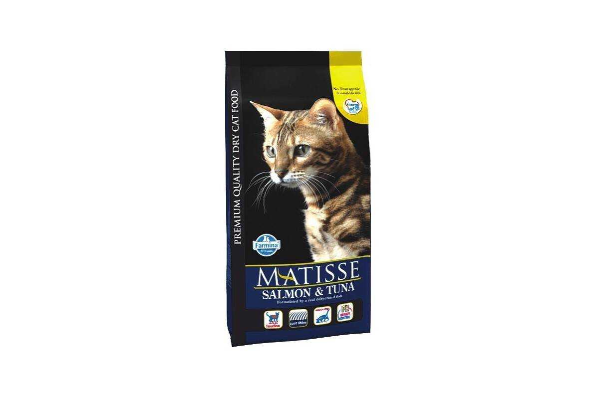 Matisse (матисс): обзор корма для кошек, состав, отзывы