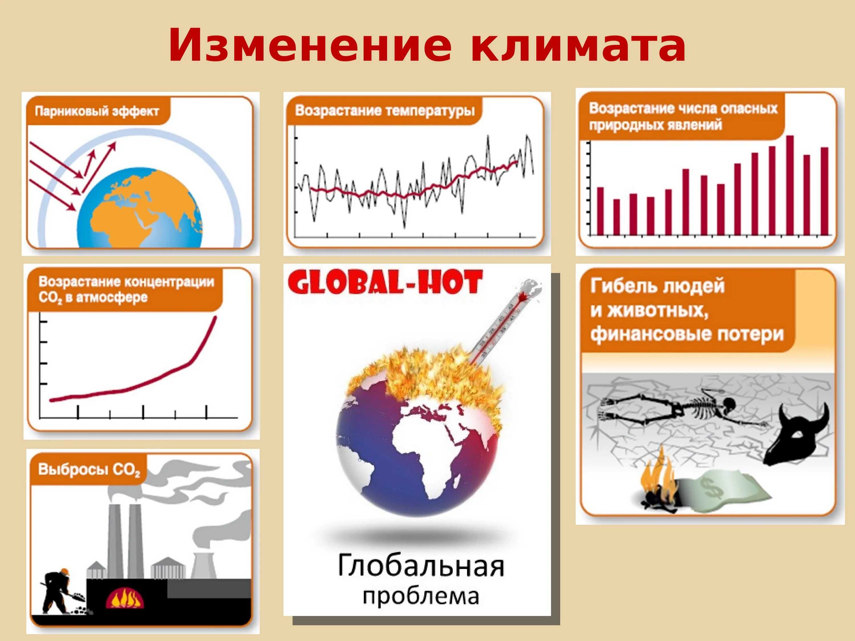 Природные зоны климатических поясов: характеристика и особенности, географическое положение и температуры