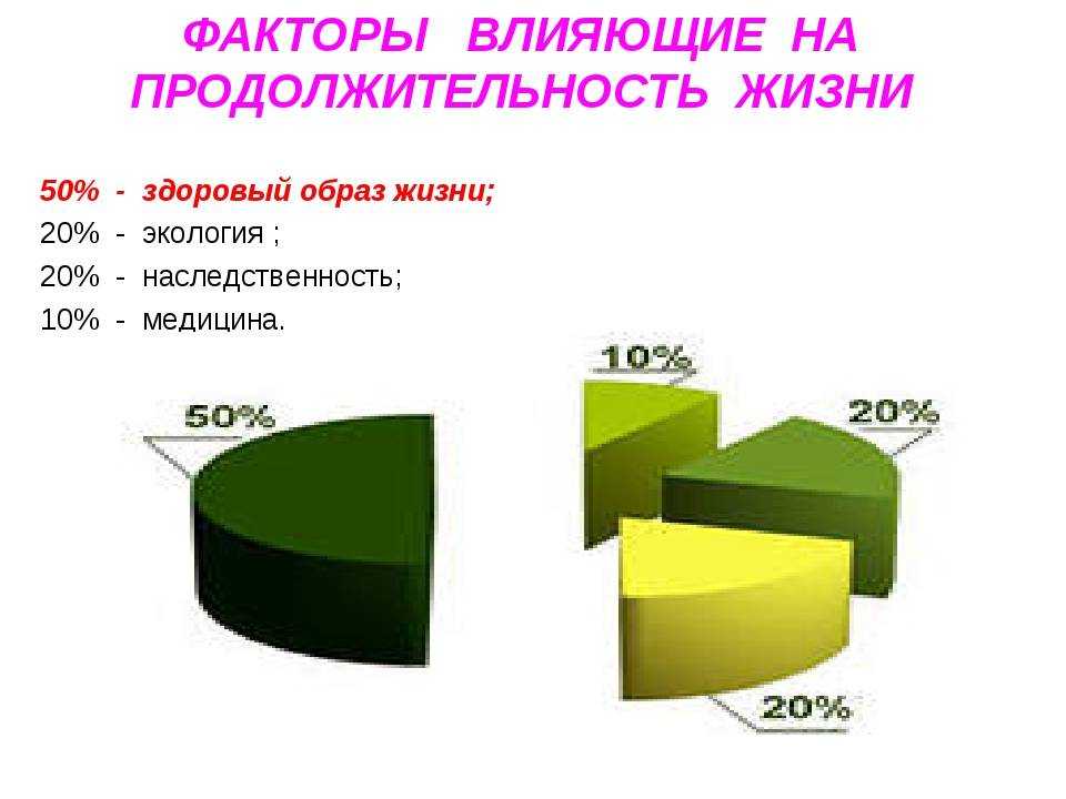 Сколько живут той терьеры?